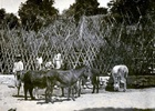 Familia campesina Familia campesina