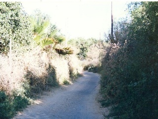 Callejón de Pica