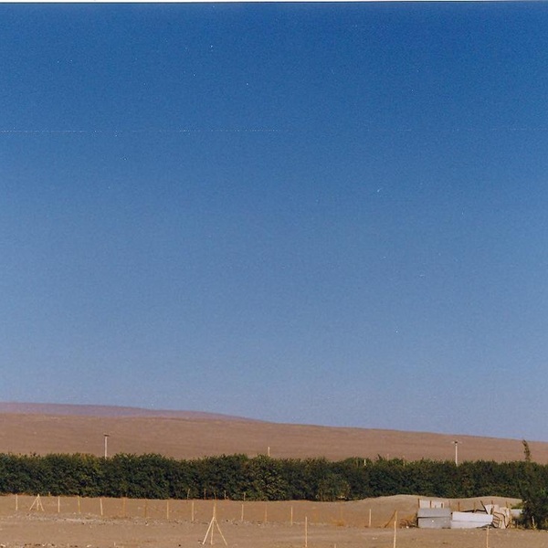 Vista del oasis de Pica