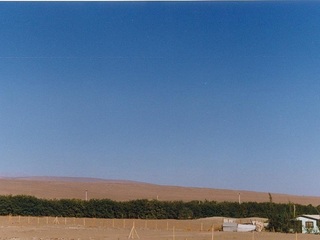 Vista del oasis de Pica