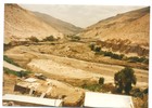 Crecimiento del río Camiña Crecimiento del río Camiña
