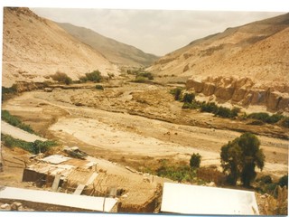 Crecimiento del río Camiña Crecimiento del río Camiña