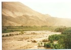 Crecimiento del río Camiña Crecimiento del río Camiña