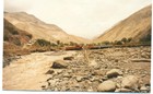 Crecimiento del río Camiña Crecimiento del río Camiña