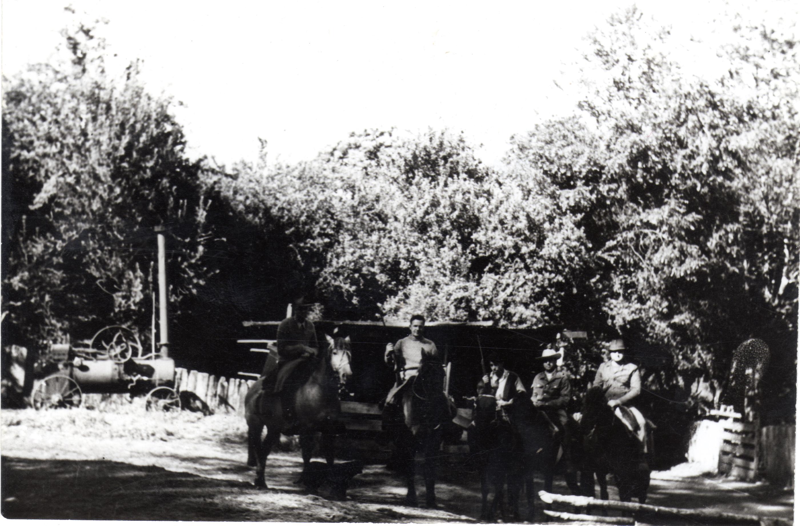 Cabalgata Cabalgata