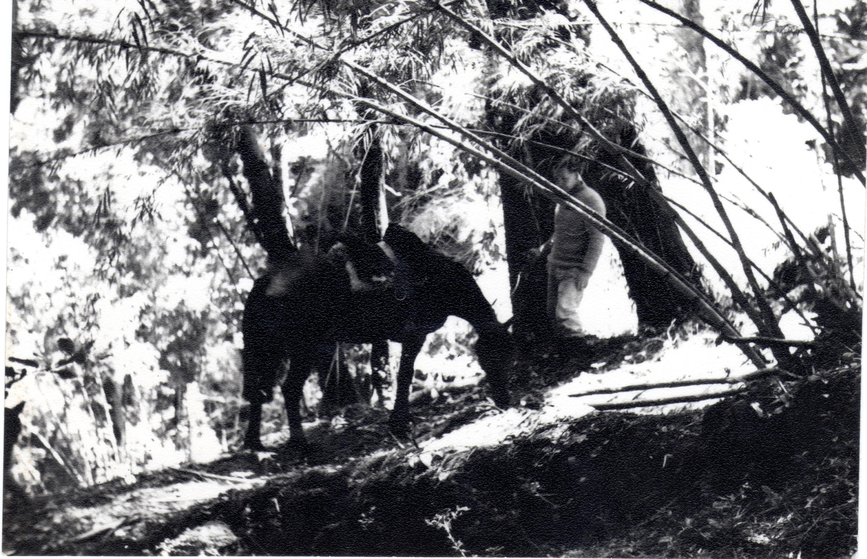 Máximo Oporto junto a su caballo