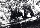 Máximo Oporto junto a su caballo