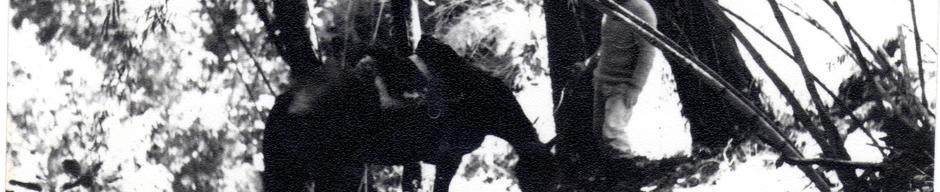 Máximo Oporto junto a su caballo Máximo Oporto junto a su caballo