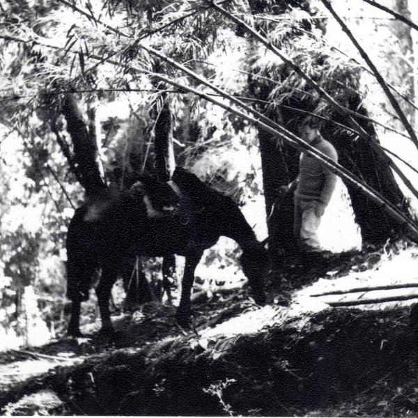 Máximo Oporto junto a su caballo