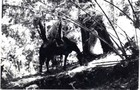 Máximo Oporto junto a su caballo Máximo Oporto junto a su caballo