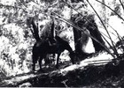 Máximo Oporto junto a su caballo Máximo Oporto junto a su caballo