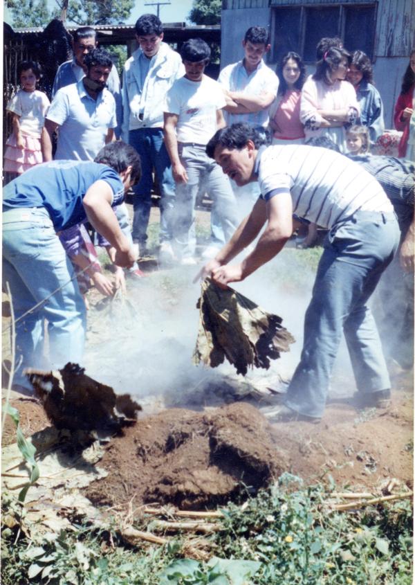 Destape de curanto en hoyo Destape de curanto en hoyo