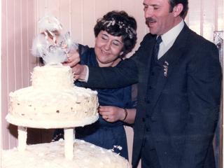 Bodas de plata Bodas de plata