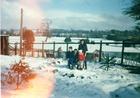 Tarde de nieve en Máfil Tarde de nieve en Máfil