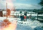 Tarde de nieve en Máfil