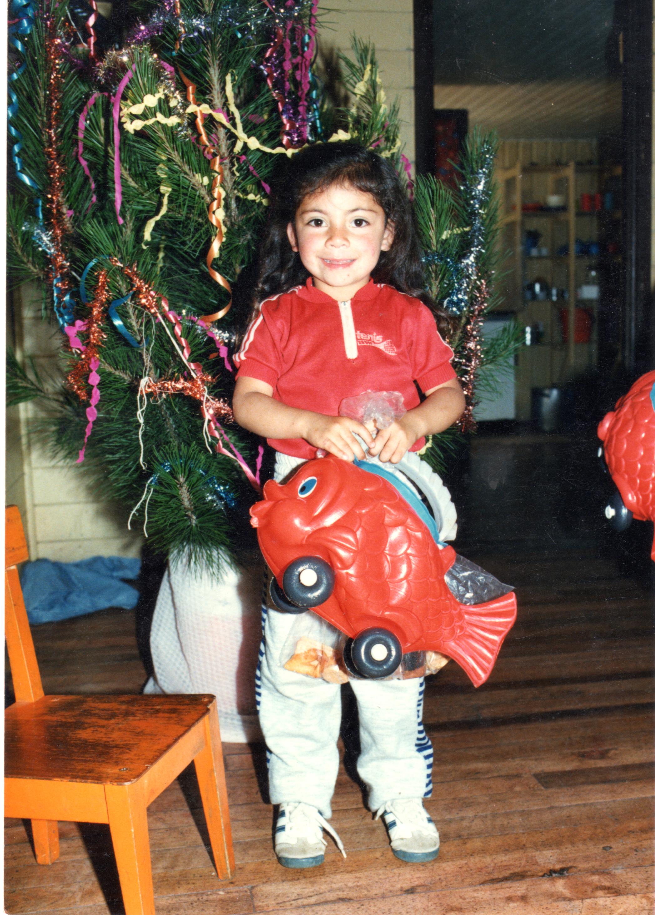 Fiesta de navidad en el jardín infantil Palomitas