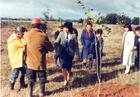 Plantación de árboles en la Escuela Agrícola Plantación de árboles en la Escuela Agrícola