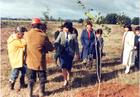 Plantación de árboles en la Escuela Agrícola