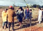 Plantación de árboles en la Escuela Agrícola Plantación de árboles en la Escuela Agrícola