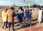 Plantación de árboles en la Escuela Agrícola