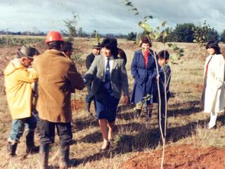 Plantación de árboles en la Escuela Agrícola Plantación de árboles en la Escuela Agrícola