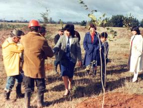 Plantación de árboles en la Escuela Agrícola