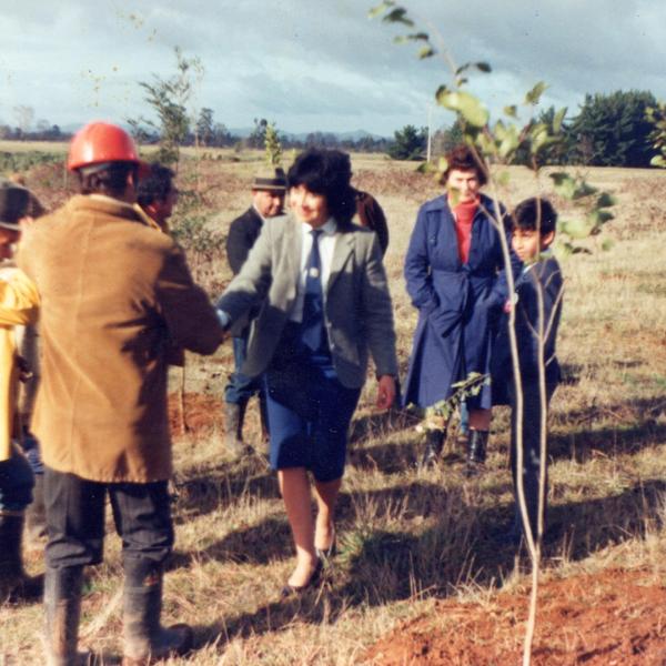 Plantación de árboles en la Escuela Agrícola