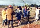 Plantación de árboles en la Escuela Agrícola