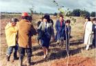 Plantación de árboles en la Escuela Agrícola Plantación de árboles en la Escuela Agrícola
