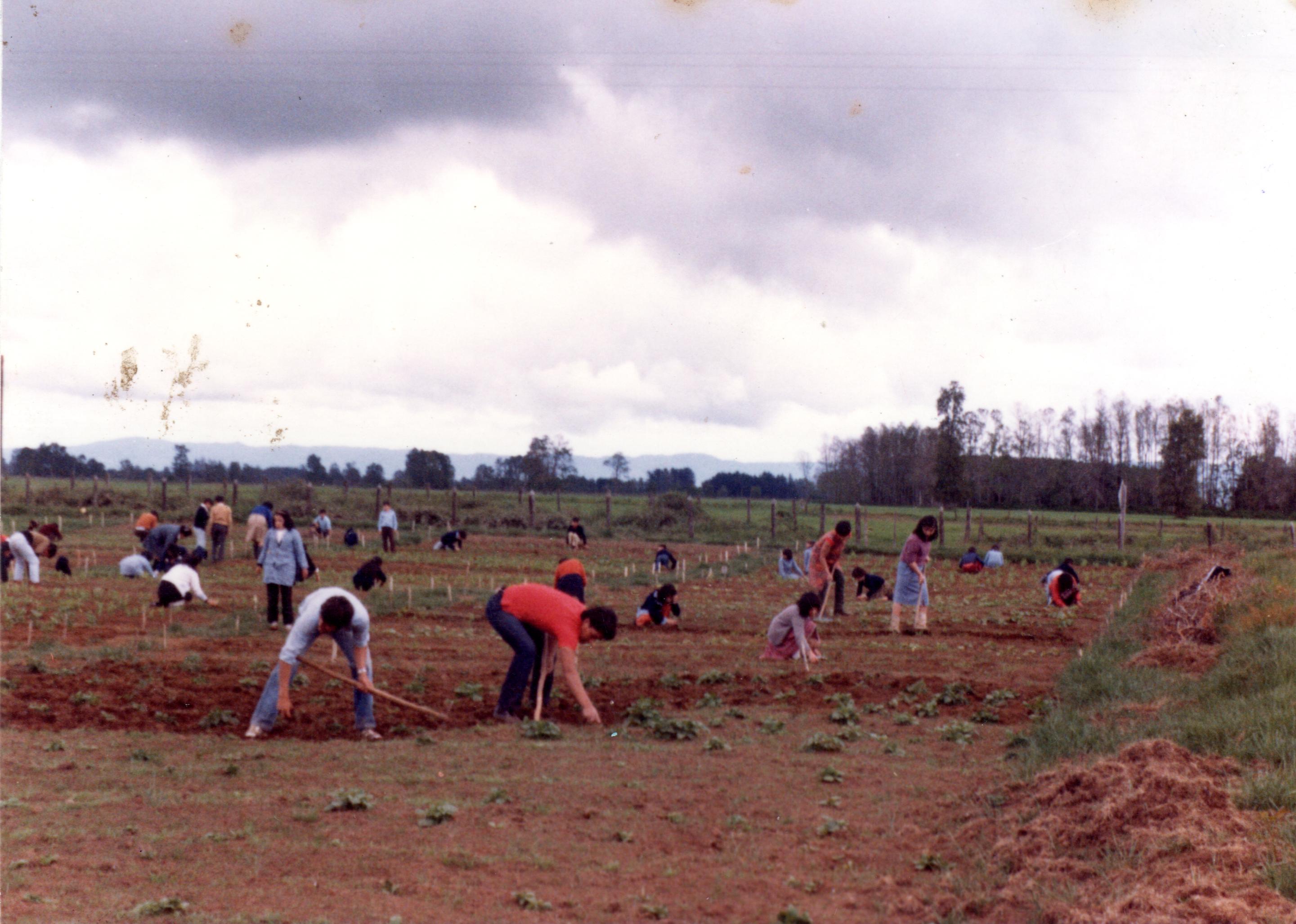Huerto escolar de la Escuela Alabama Huerto escolar de la Escuela Alabama