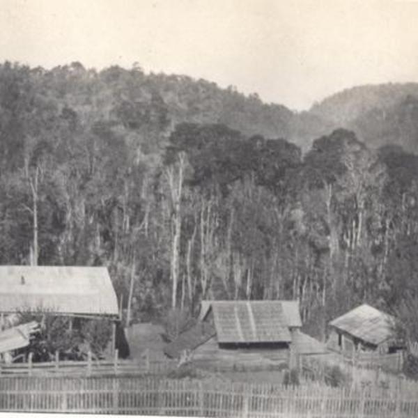 Galpones y bodegas del fundo Los Venados