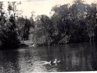 Río Lingue Río Lingue