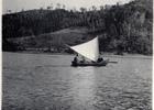 Río Lingue Río Lingue
