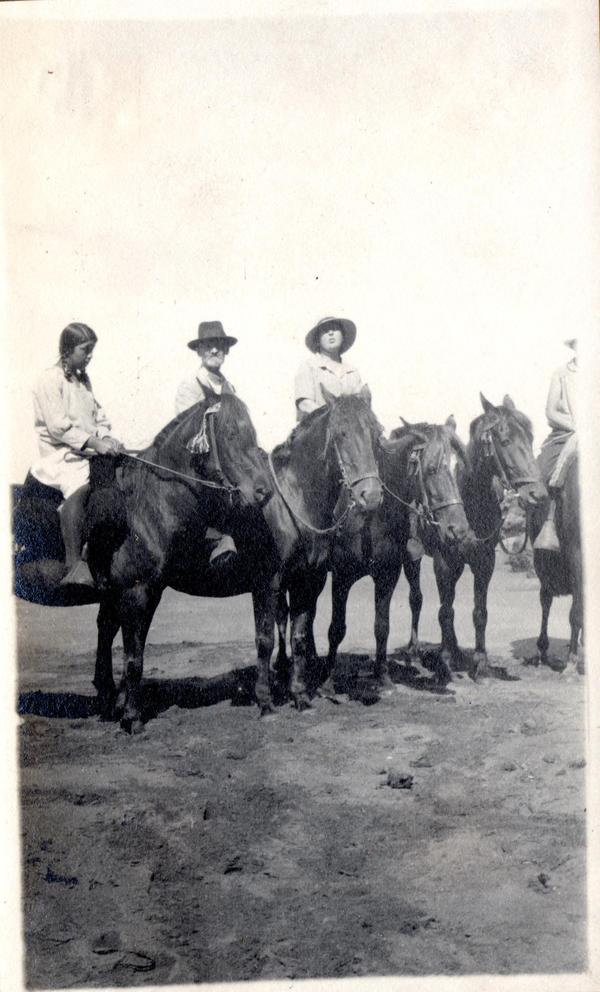 Paseo a caballo por Queule