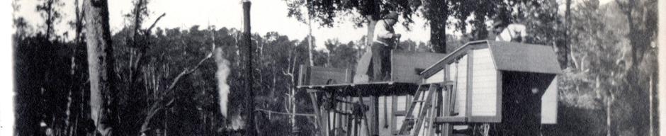 Trabajo agrícola Trabajo agrícola