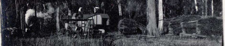 Trabajo agrícola Trabajo agrícola