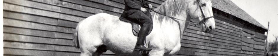 Juan Geisse Juan Geisse