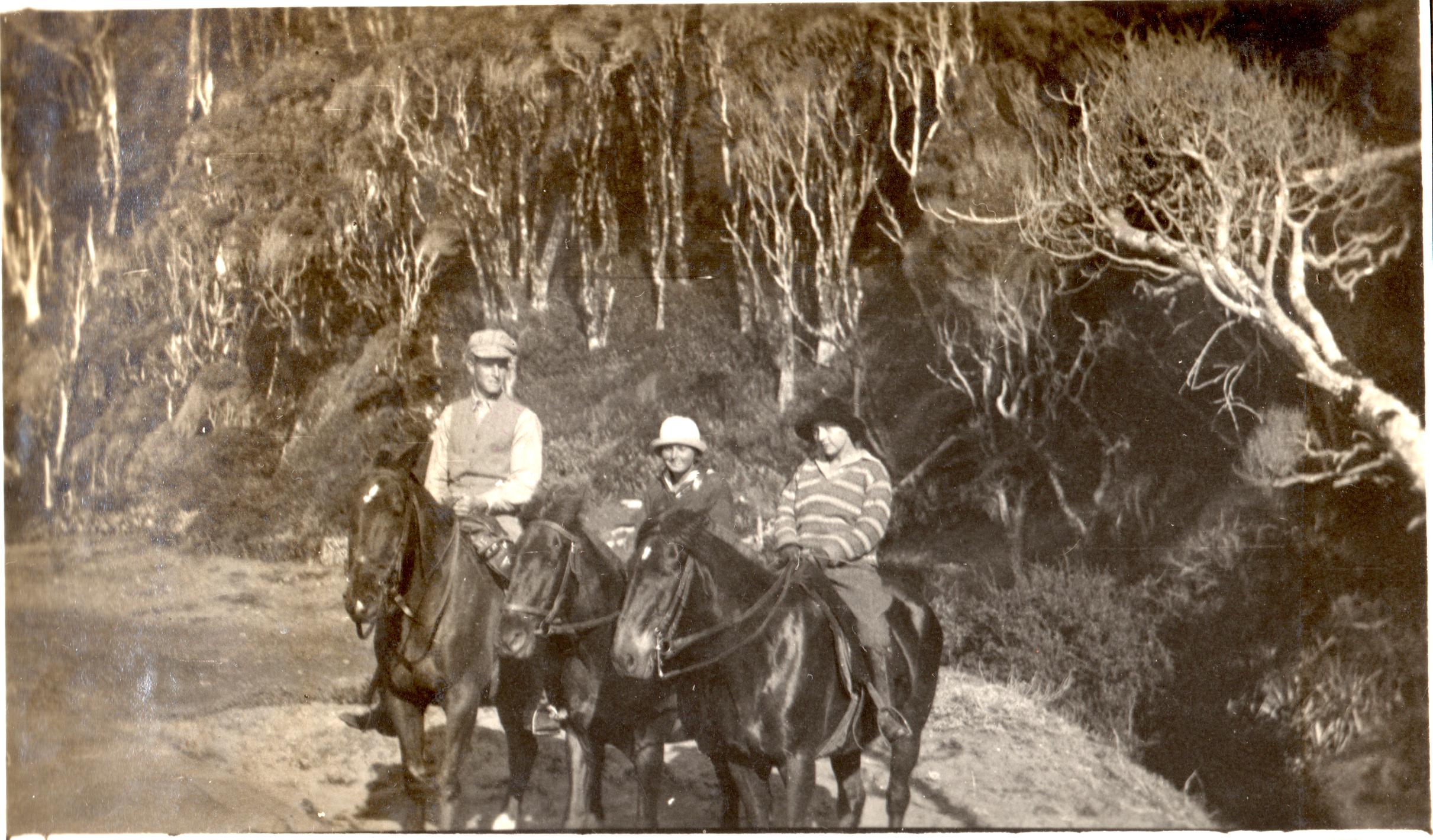 Paseo a caballo Paseo a caballo