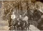 Paseo a caballo Paseo a caballo