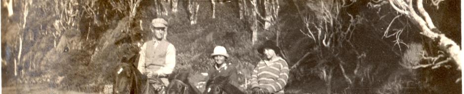 Paseo a caballo Paseo a caballo