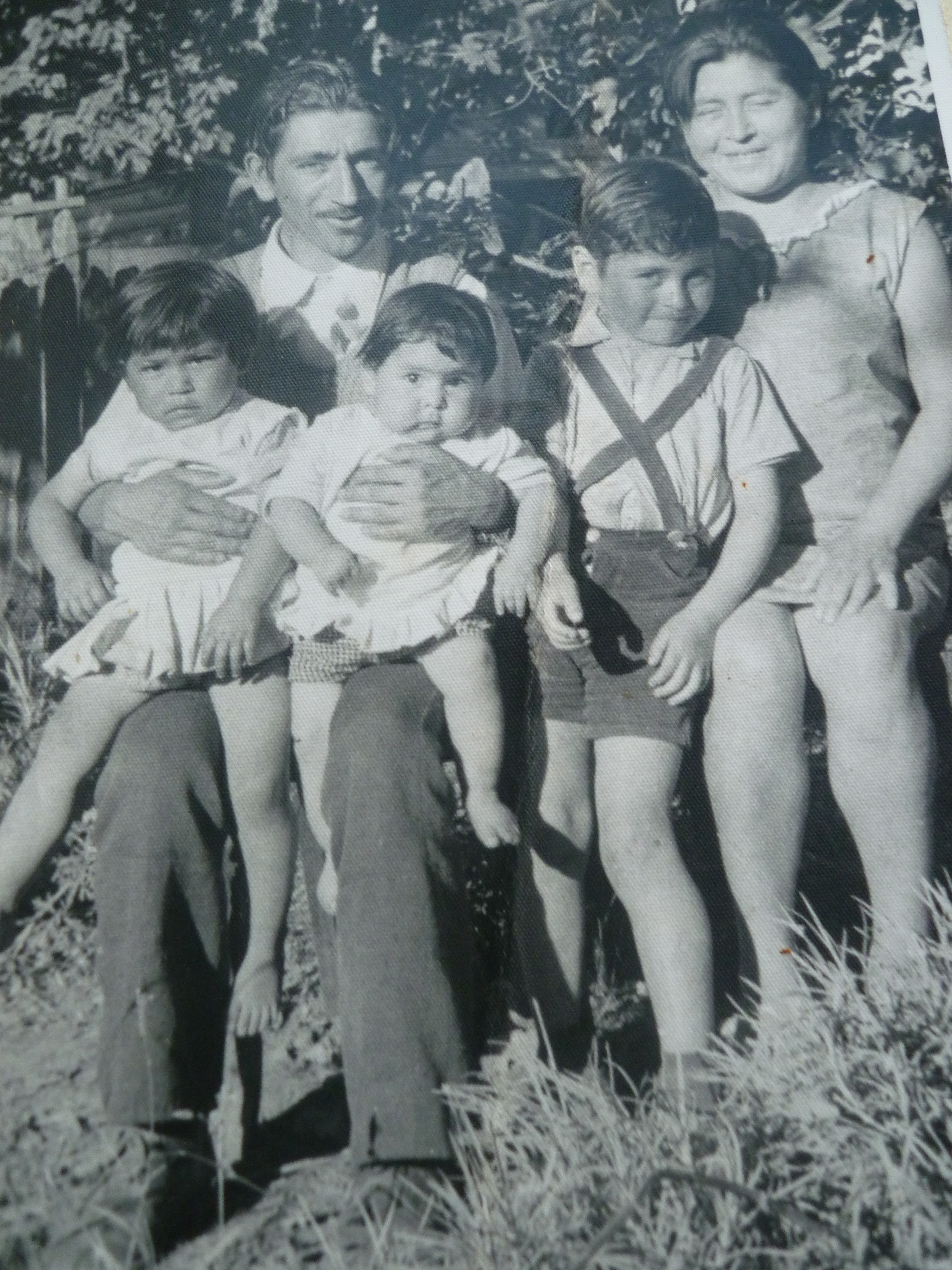 Familia Fernández Huechante Familia Fernández Huechante