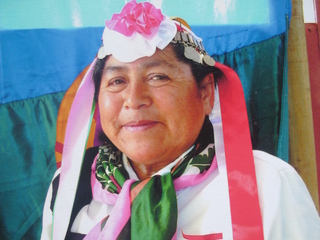 Dominga Huechante Dominga Huechante