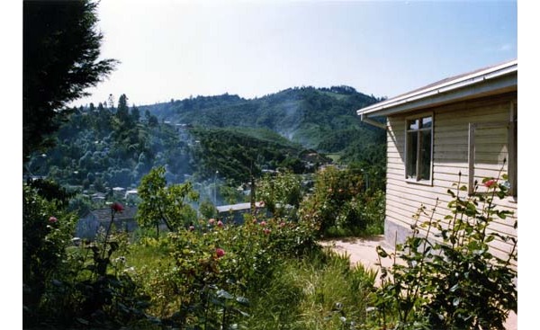 Vista de la población las Araucanas