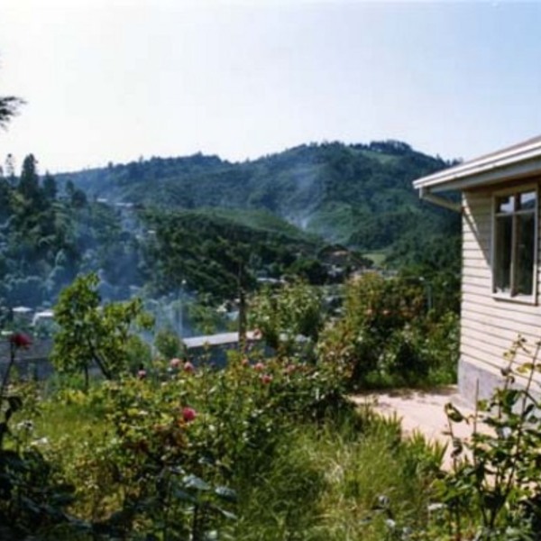 Vista de la población las Araucanas