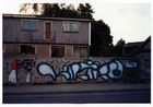 Graffiti camino a Nonguén Graffiti camino a Nonguén