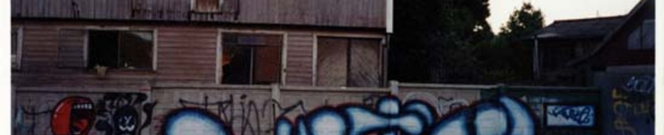 Graffiti camino a Nonguén Graffiti camino a Nonguén