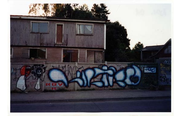 Graffiti camino a Nonguén Graffiti camino a Nonguén