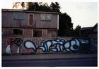 Graffiti camino a Nonguén Graffiti camino a Nonguén