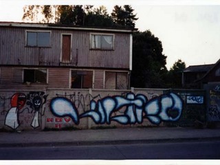 Graffiti camino a Nonguén Graffiti camino a Nonguén