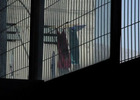 La libertad de la memoria La libertad de la memoria